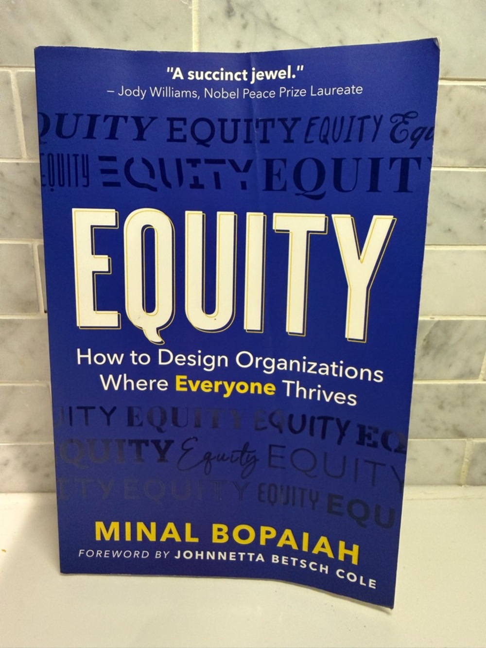 Equity by Minal Bopaiah - Bright Blue Paperback